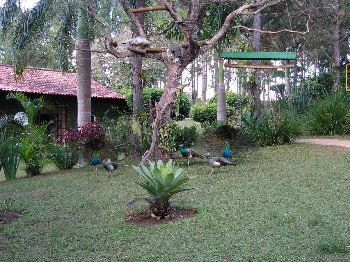 Estalagem Fazenda Lazer Guest House Carandai Exterior photo